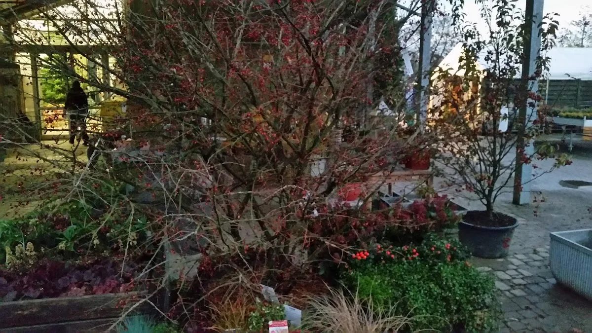 Müller Lebensraum Garten – Blüte in Mauer, Baden-Württemberg