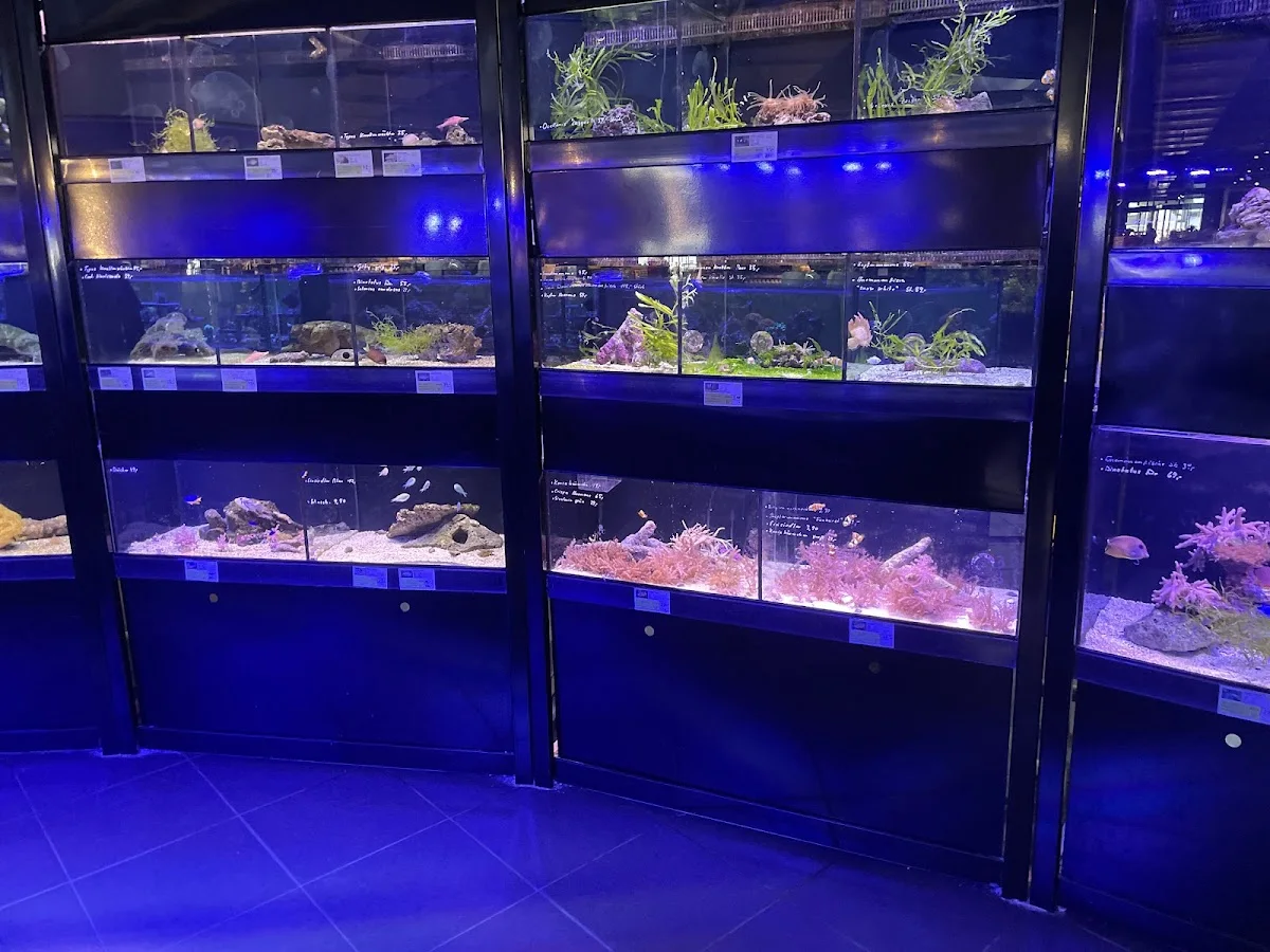 MEGAZOO Köln – Aquarium in Köln, Nordrhein-Westfalen