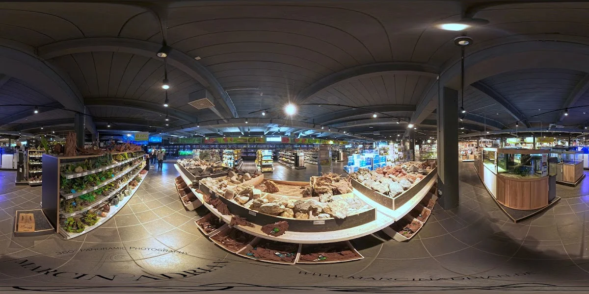 MEGAZOO Köln – Street View & 360°-Fotos in Köln, Nordrhein-Westfalen