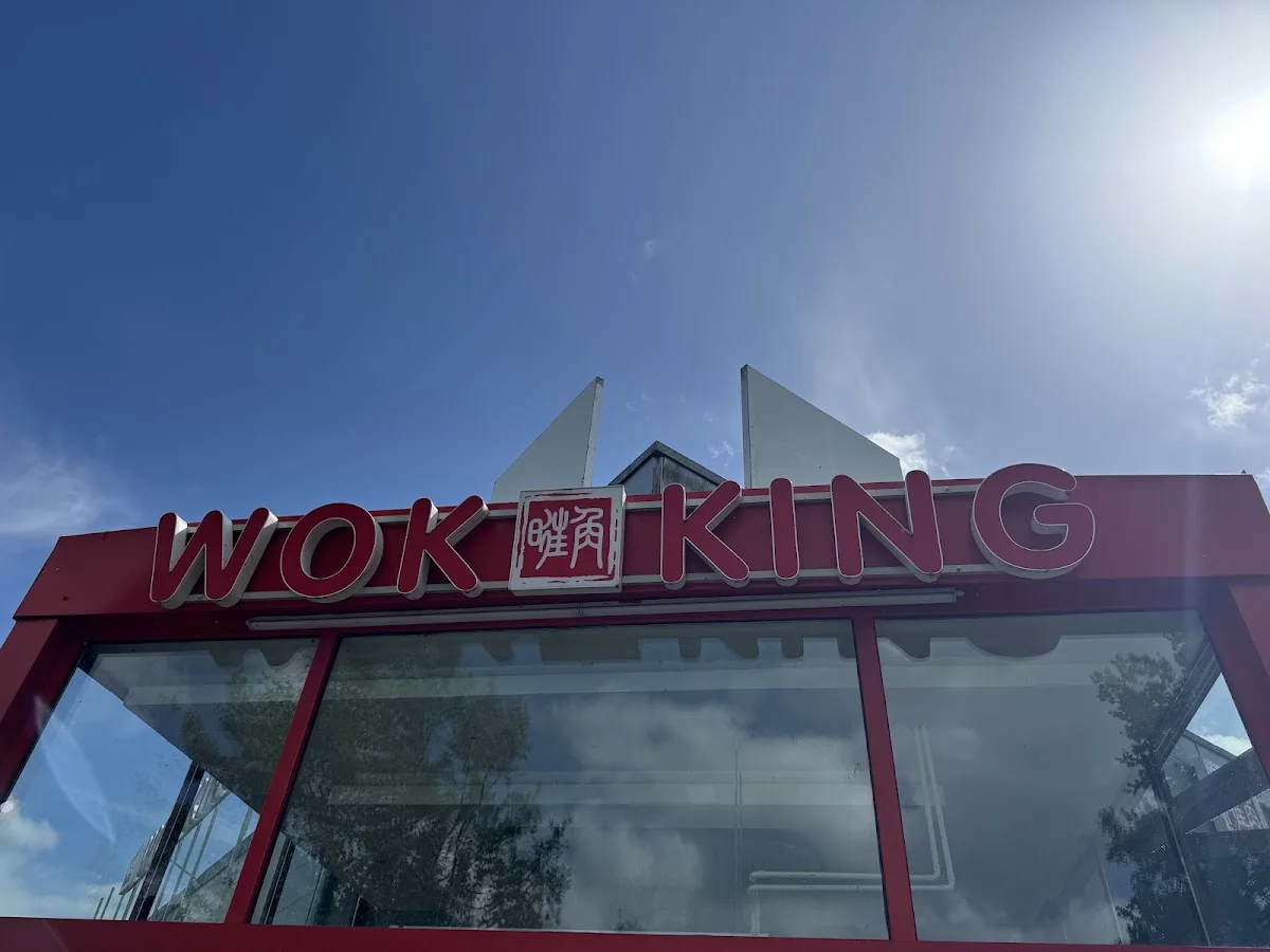 WOK KING - Asiatisches Restaurant – Chinesisches Restaurant in Pinneberg, Schleswig-Holstein