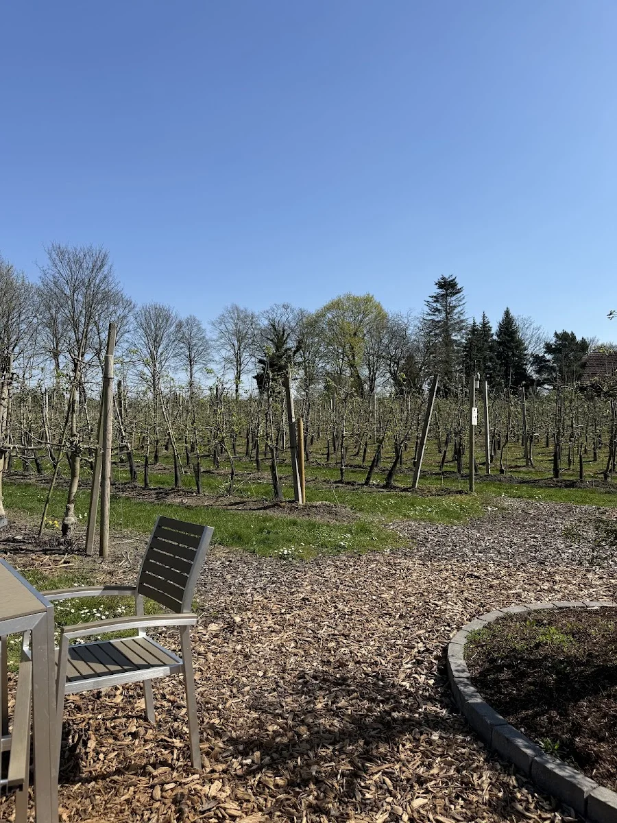 Apfelparadies Wittlaer – Besucherfoto: AmaraHE2020 in Düsseldorf, Nordrhein-Westfalen