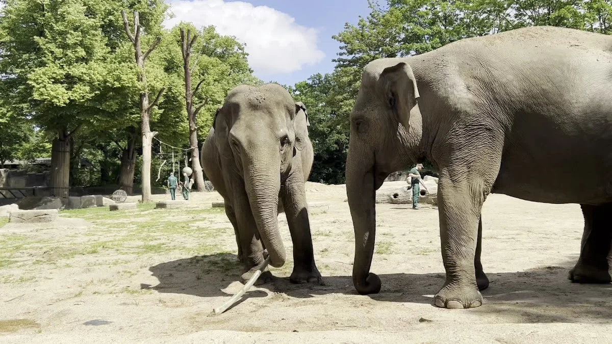 Tierpark Hagenbeck – Sehenswürdigkeit in Hamburg