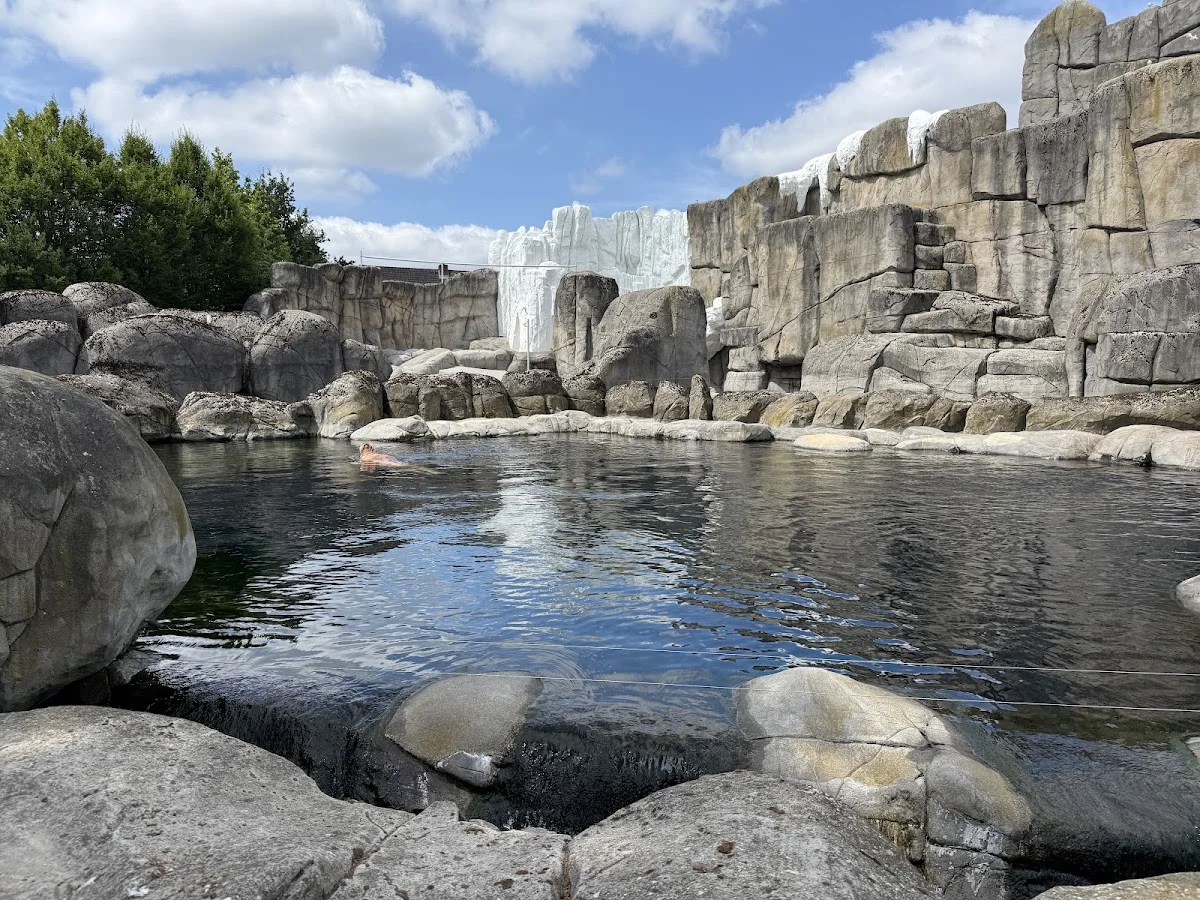 Tierpark Hagenbeck – Eismeer in Hamburg