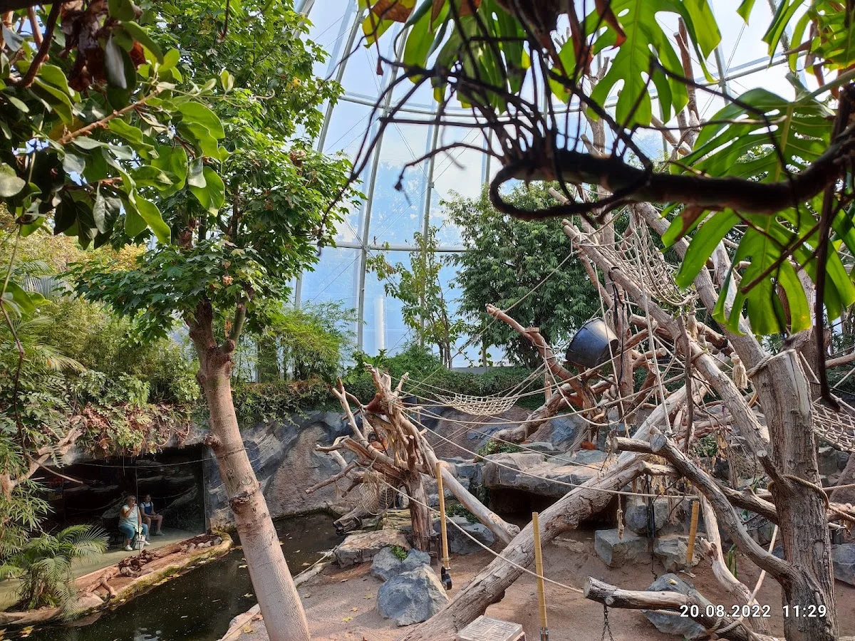 Tierpark Hagenbeck – Das Orang-Utan-Haus in Hamburg