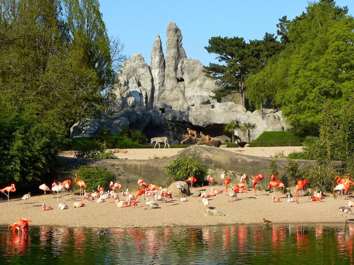 Tierpark Hagenbeck – Profilfoto in Hamburg