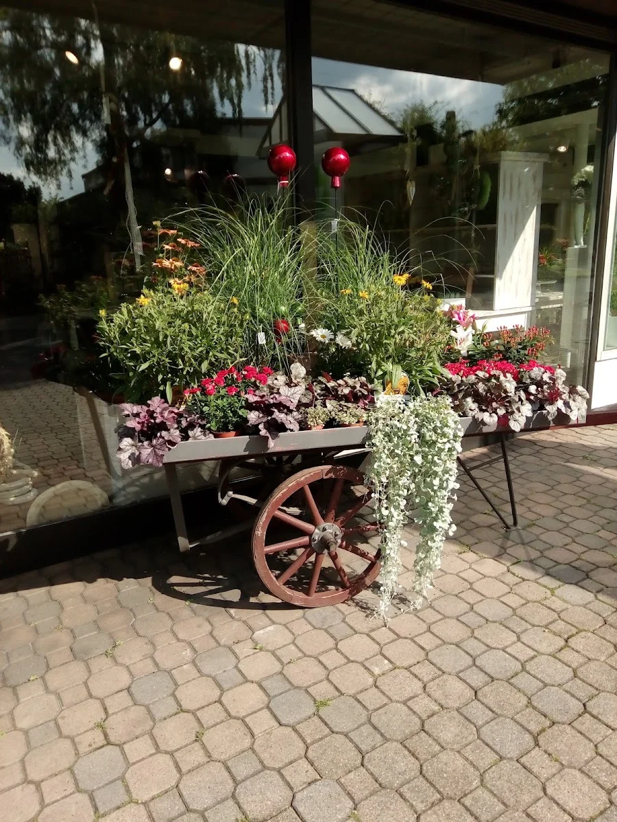 Gärtnerei Kühn – Innenansichten in Bad Hersfeld, Hessen