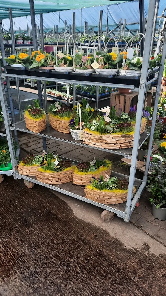 FLORA-LAND ARNOLD – Innenansichten in Schöneiche bei Berlin, Brandenburg