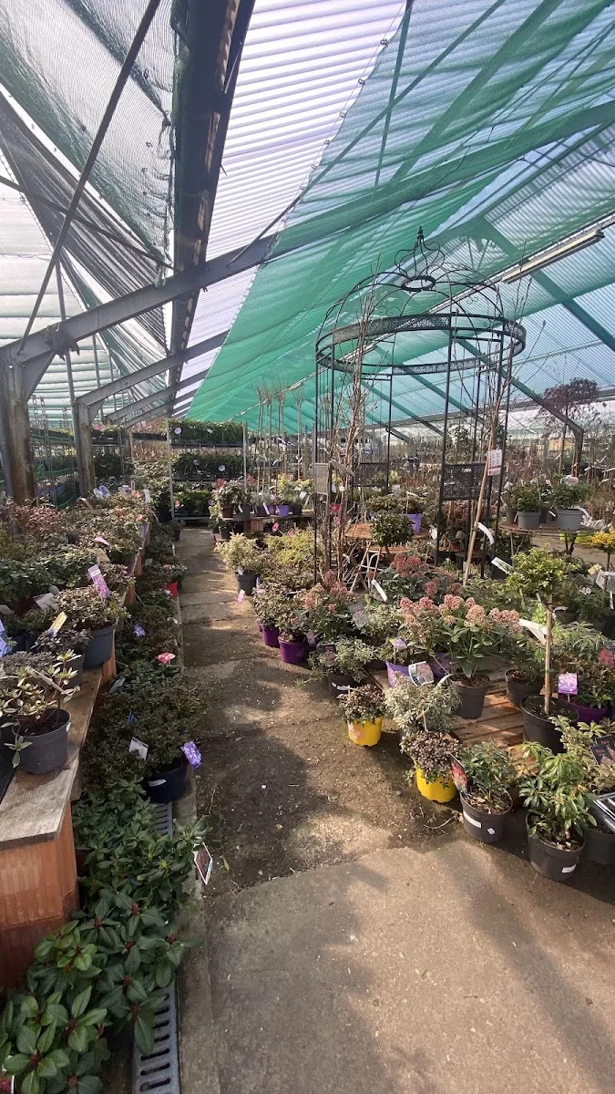 FLORA-LAND ARNOLD – Besucherfoto von Bianca Oertel in Schöneiche bei Berlin, Brandenburg