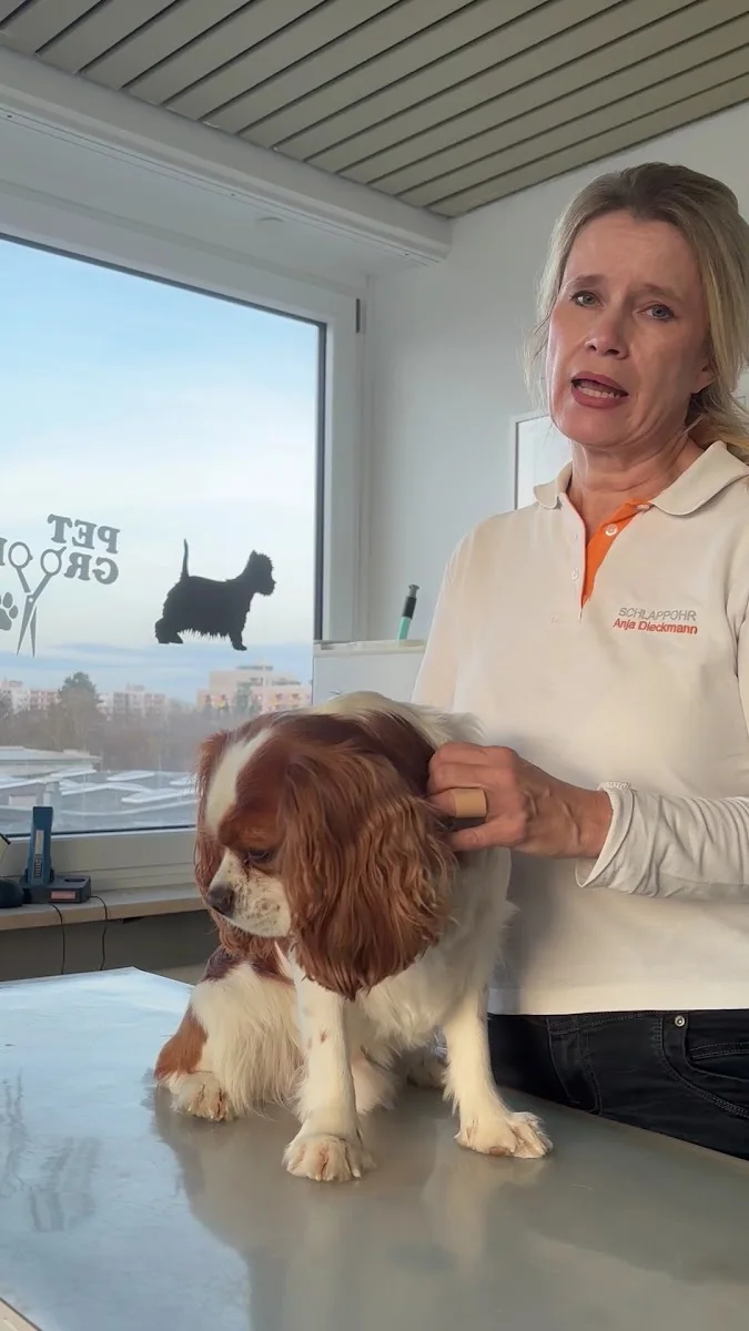 Hundefriseur Schlappohr Germering – Tierfriseur in Germering, Bayern