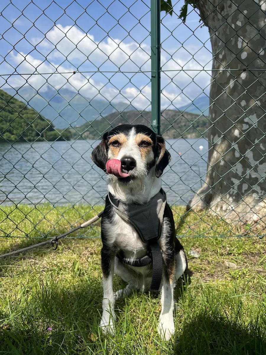 Die Wolfswerkstatt - Tierverhaltenstherapie – Besucherfoto: Margo in Göggingen, Baden-Württemberg