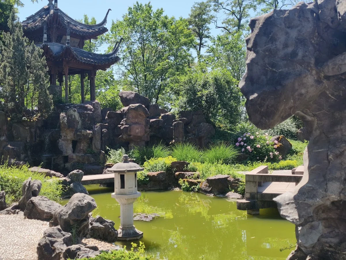 Chinesischer Garten Stuttgart – Besucherfoto von Яна Собуцька in Stuttgart, Baden-Württemberg