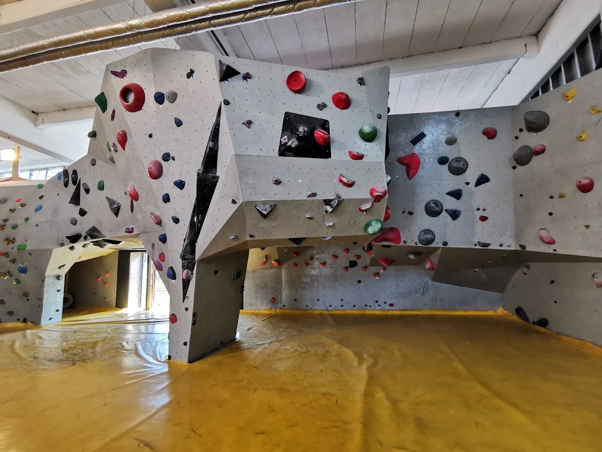 Linie7 – Bouldern in Bremen – Besucherfoto: Schrödingers T-Rex in Bremen
