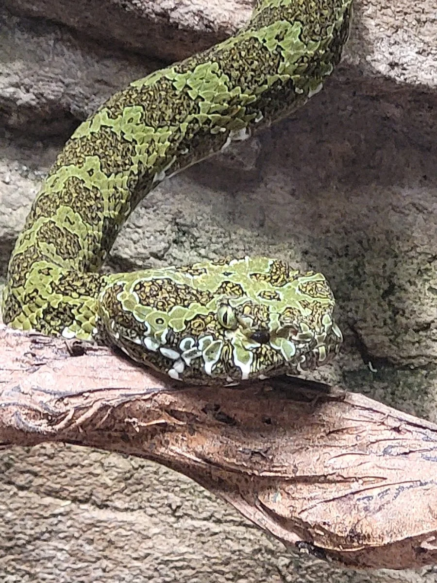 Tierpark Berlin – Park in Berlin