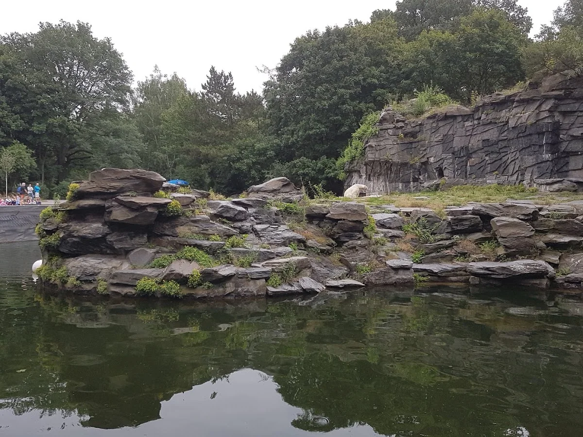 Tierpark Berlin – Eisbären-Gehege in Berlin