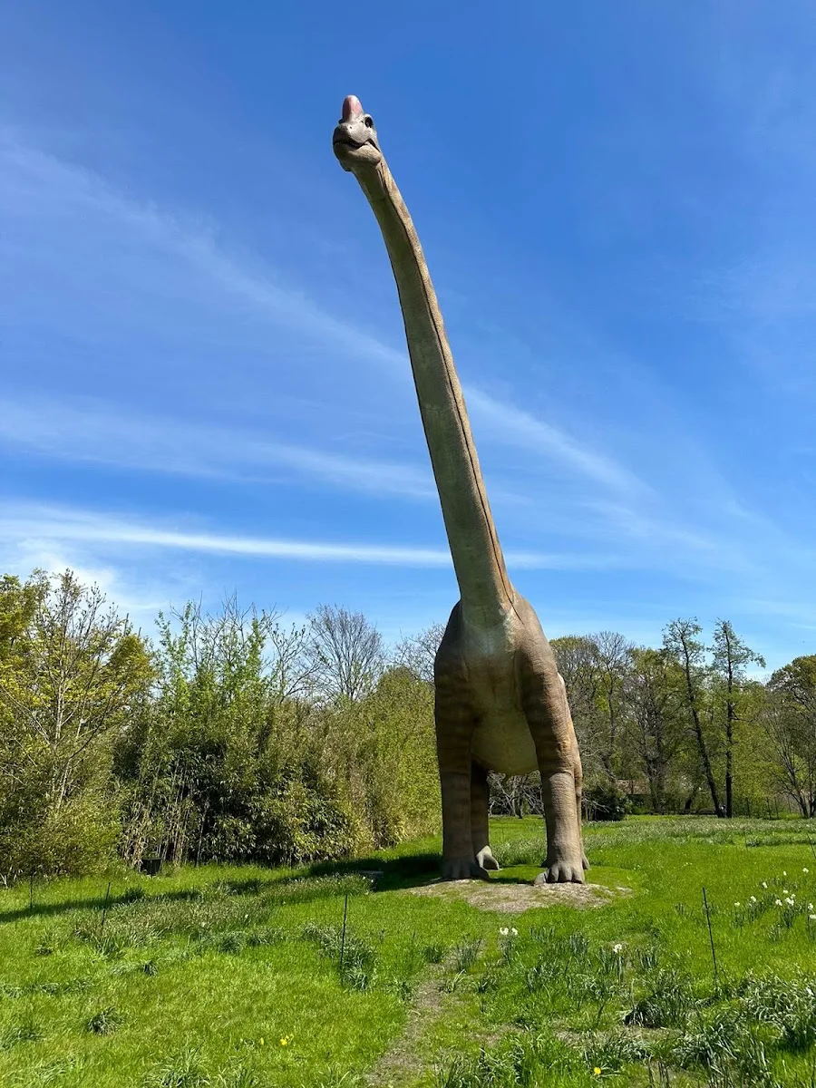 Tierpark Berlin – Brachiosaurus in Berlin