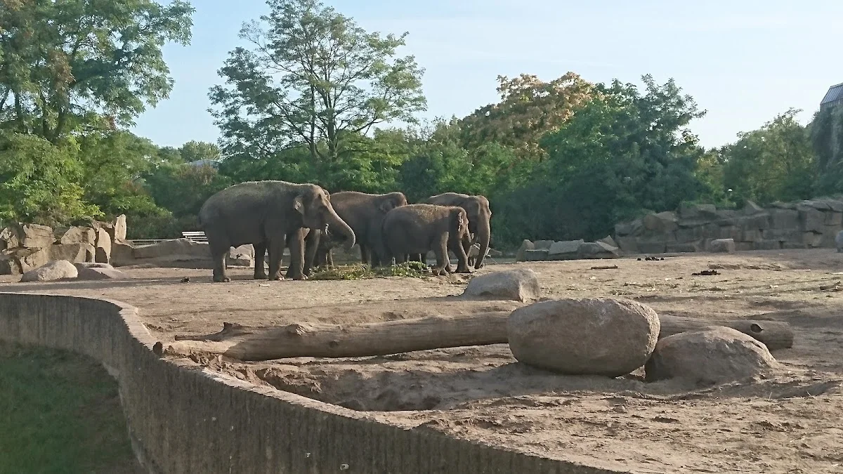 Tierpark Berlin – Savannenlandschaft in Berlin