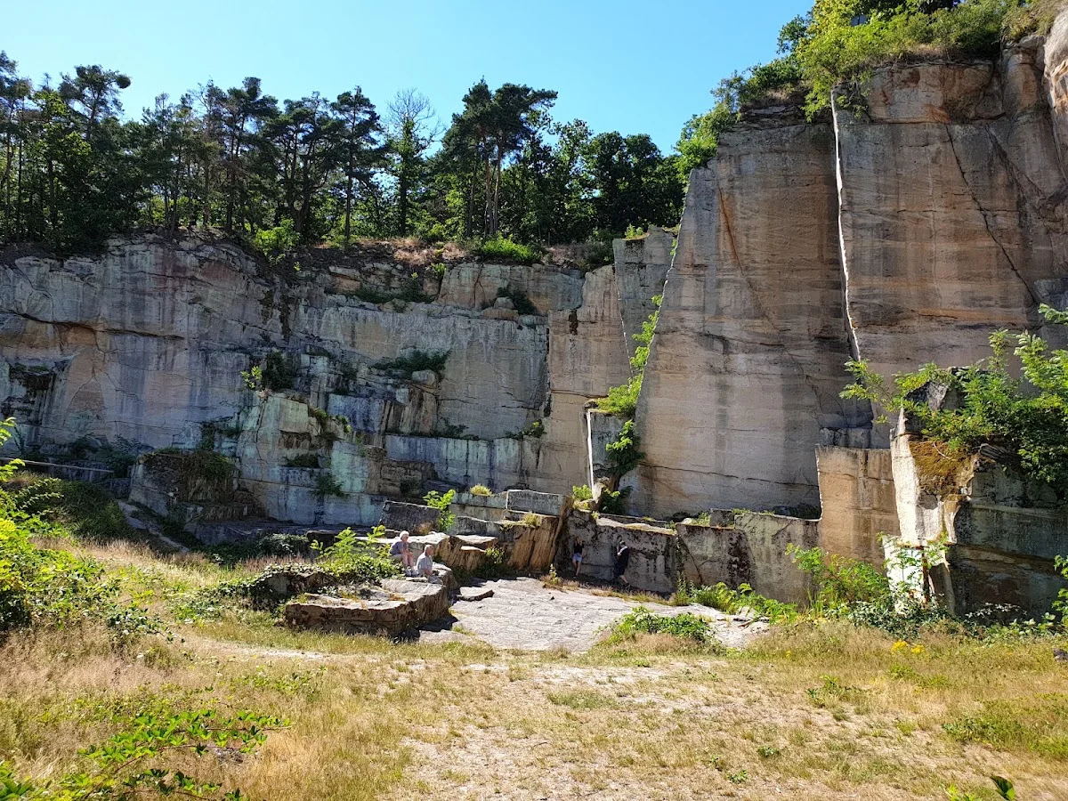 Kriemhildenstuhl – Profilfoto in Bad Dürkheim, Rheinland-Pfalz
