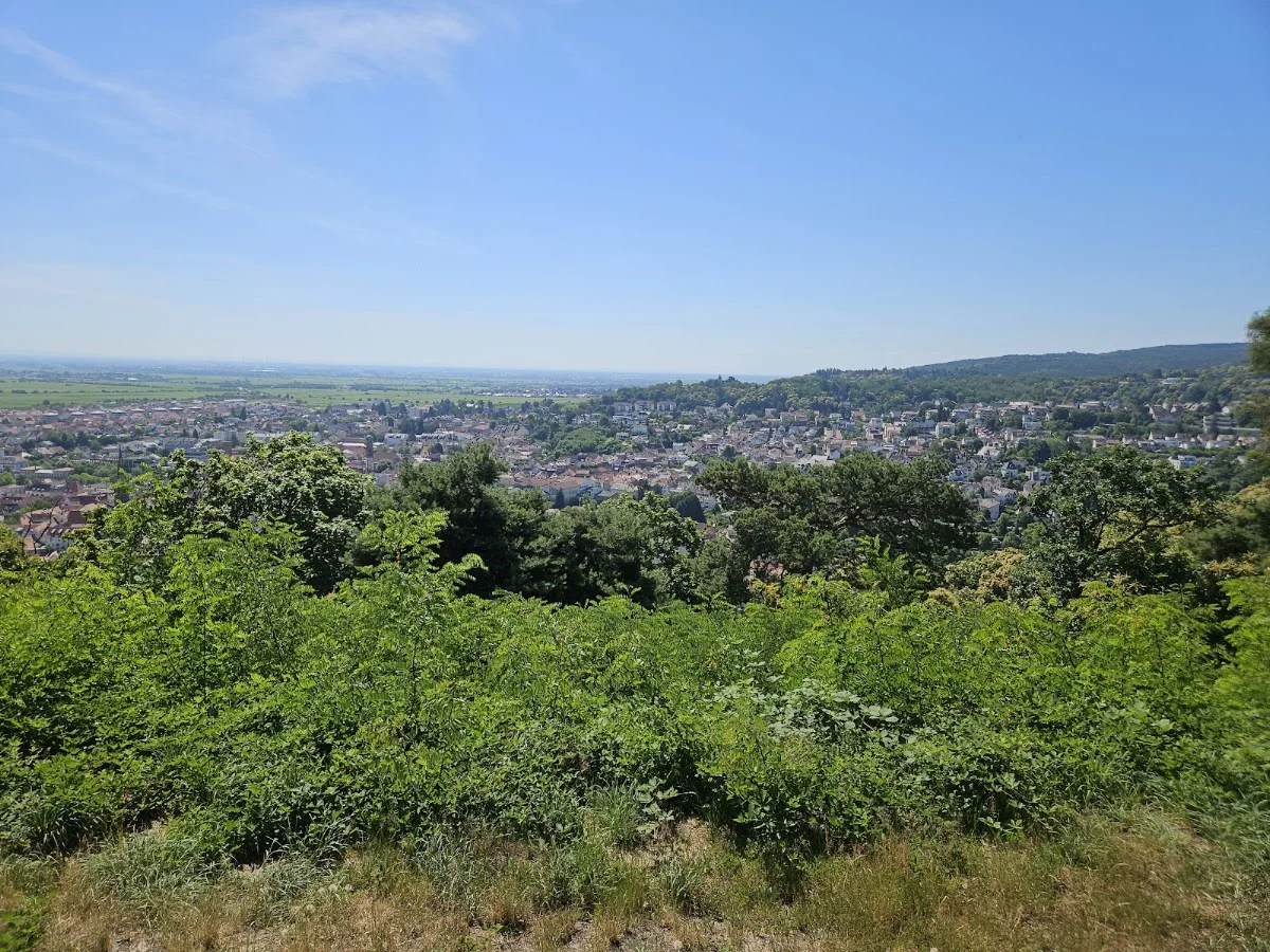 Kriemhildenstuhl – Besucherfoto: Bernd Pfanzelter in Bad Dürkheim, Rheinland-Pfalz