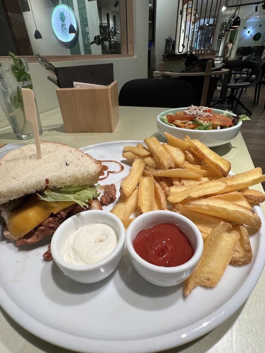 Katzentempel München – Club-Sandwich in München, Bayern