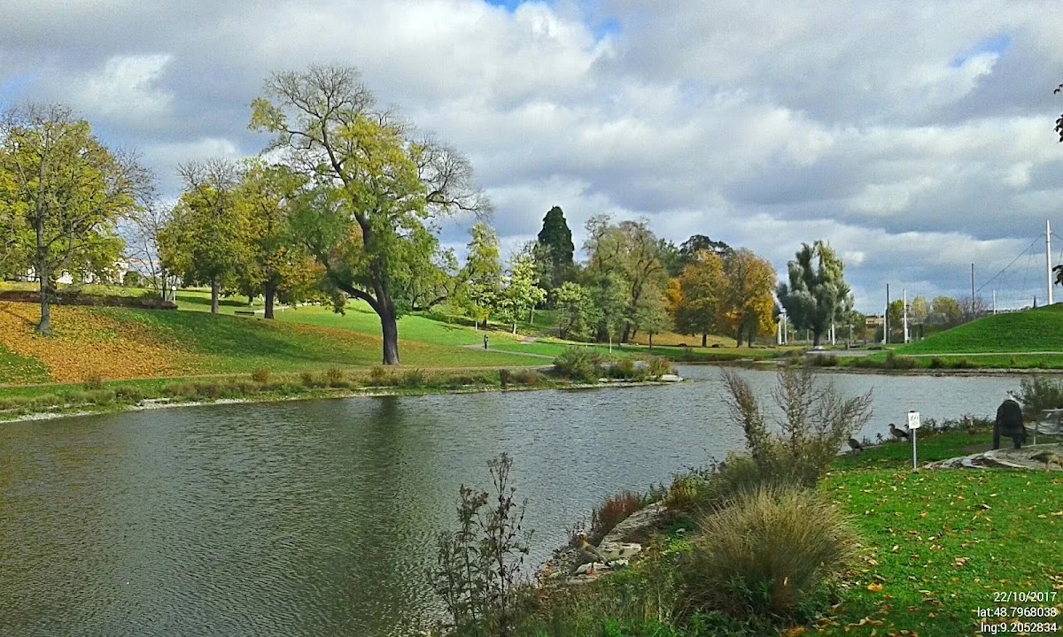 Flora & Fauna – Inselsee in Stuttgart, Baden-Württemberg