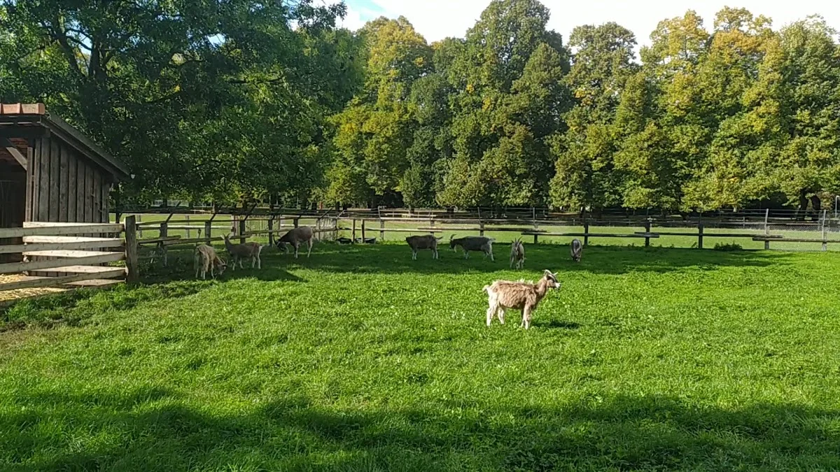 Kinderbauernhof Neuss – Park in Neuss, Nordrhein-Westfalen