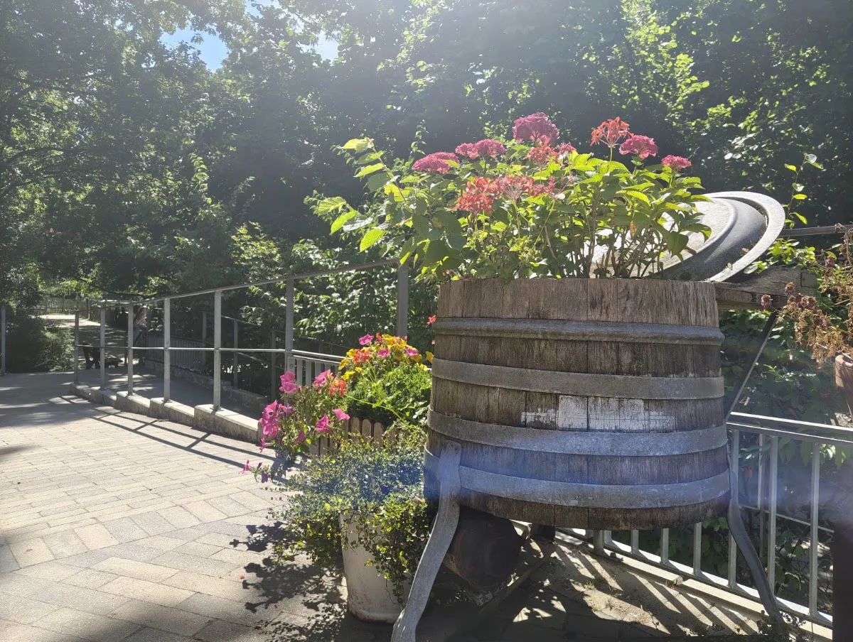 Kinderbauernhof Neuss – Besucherfoto von Meli Meli in Neuss, Nordrhein-Westfalen