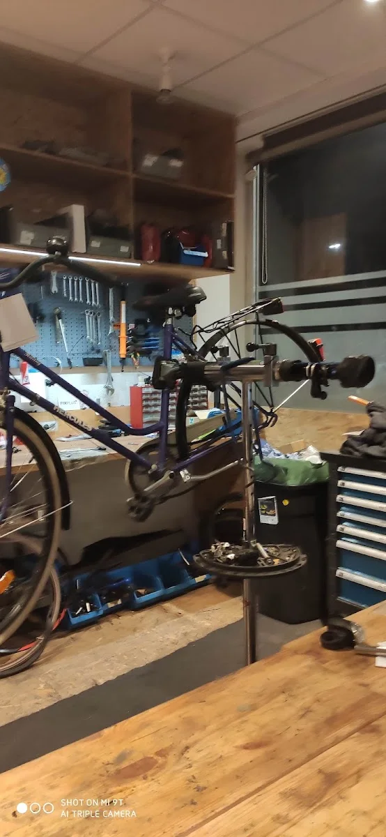 Bike Buddy – Straßenfahrrad in Karlsruhe, Baden-Württemberg