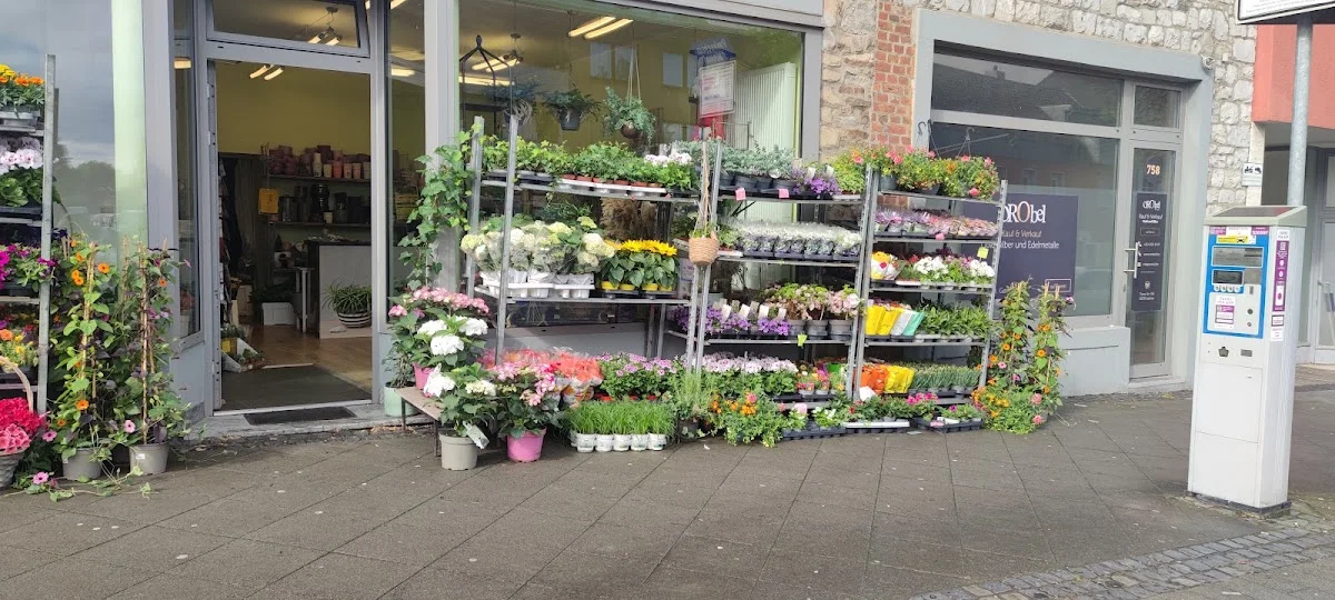 BONSAI Florist – Blumengeschäft in Aachen, Nordrhein-Westfalen