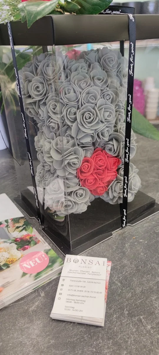 BONSAI Florist – Innenansichten in Aachen, Nordrhein-Westfalen