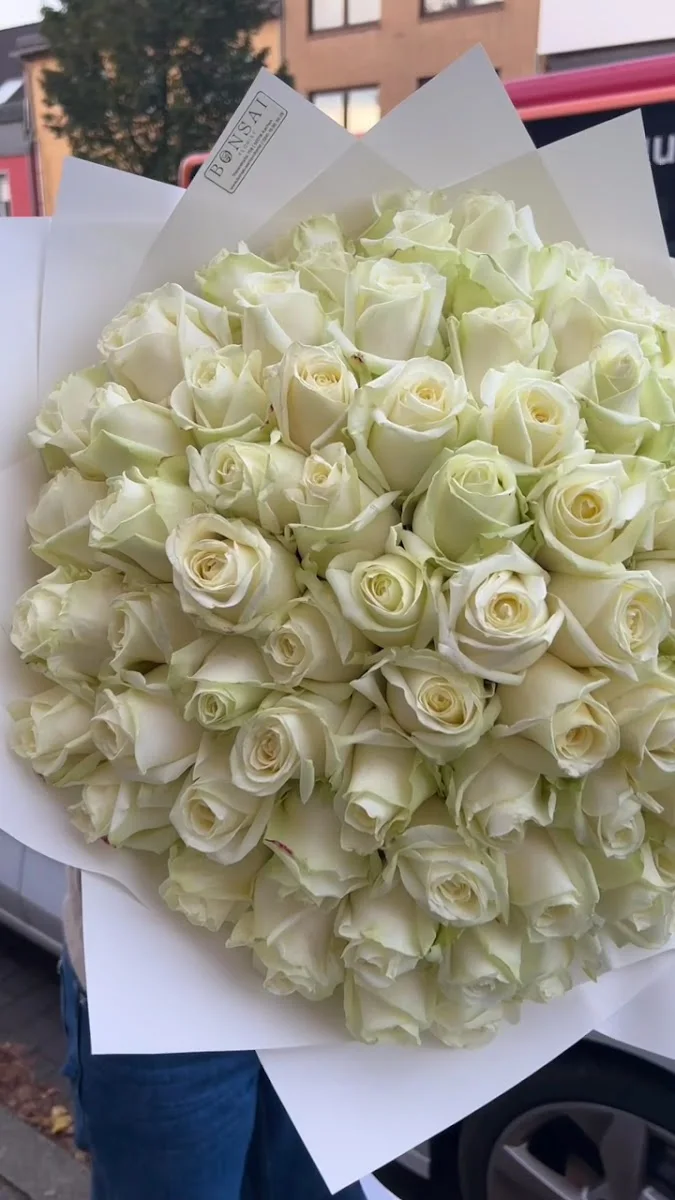 BONSAI Florist – Vom Inhaber in Aachen, Nordrhein-Westfalen