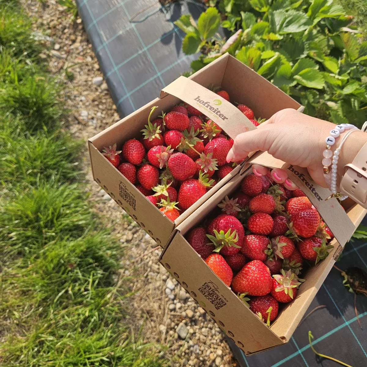 hofreiter BeerenCafé – Garten in München, Bayern
