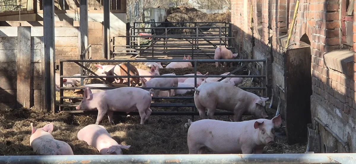 Gut Wulksfelde Hofladen – Bäckerei in Tangstedt, Schleswig-Holstein