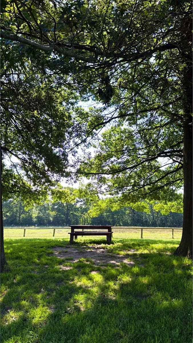 Gut Wulksfelde Hofladen – Besucherfoto von Suna Brüggen in Tangstedt, Schleswig-Holstein