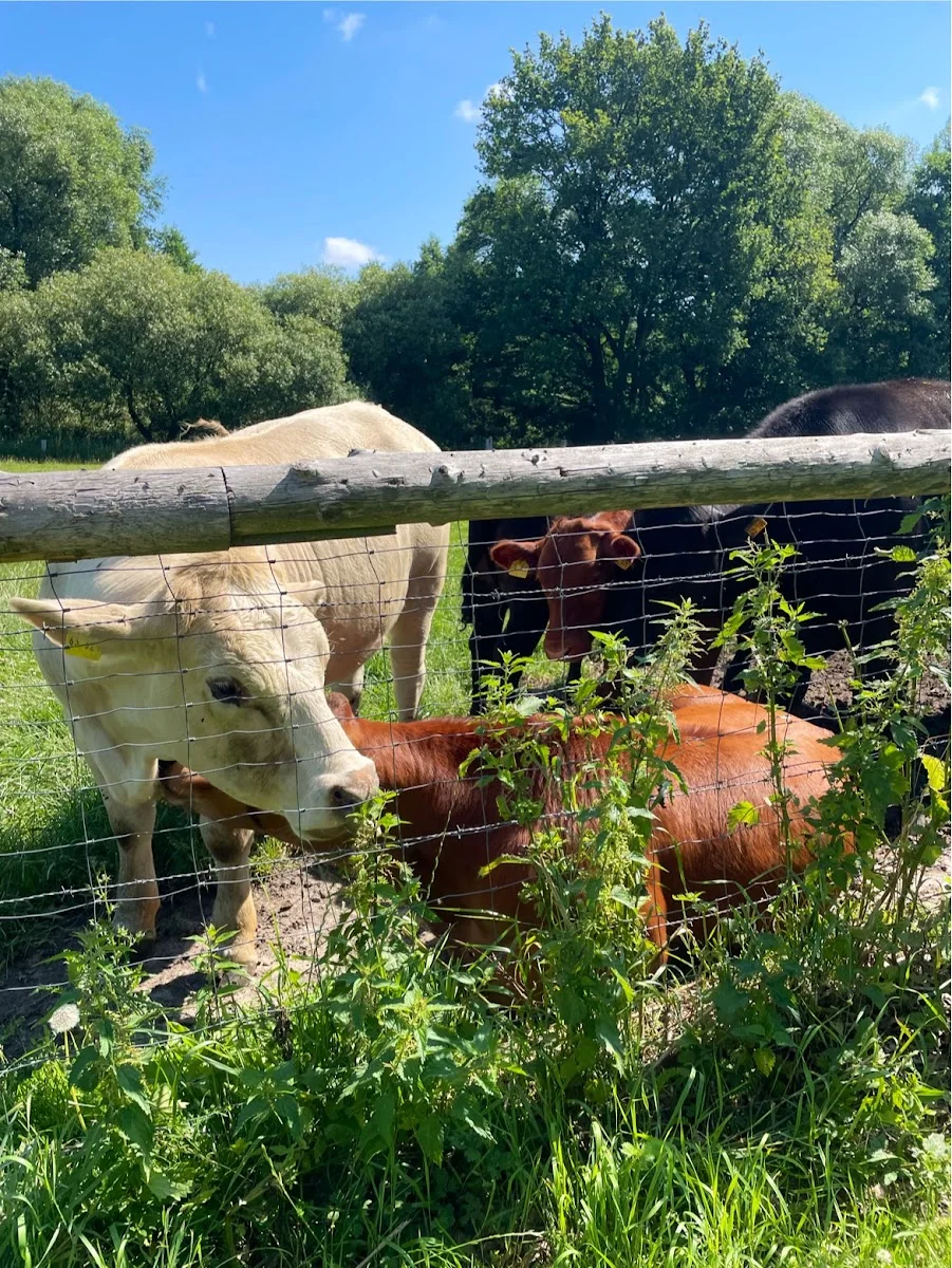 Gut Wulksfelde Hofladen – Besucherfoto von Suna Brüggen in Tangstedt, Schleswig-Holstein