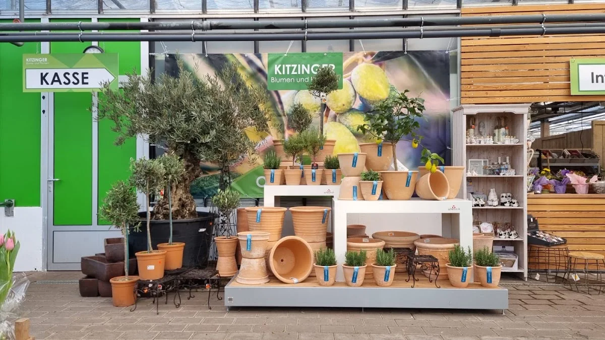 Kitzinger Blumen und Pflanzen – Gartencenter in Rodenbach, Hessen
