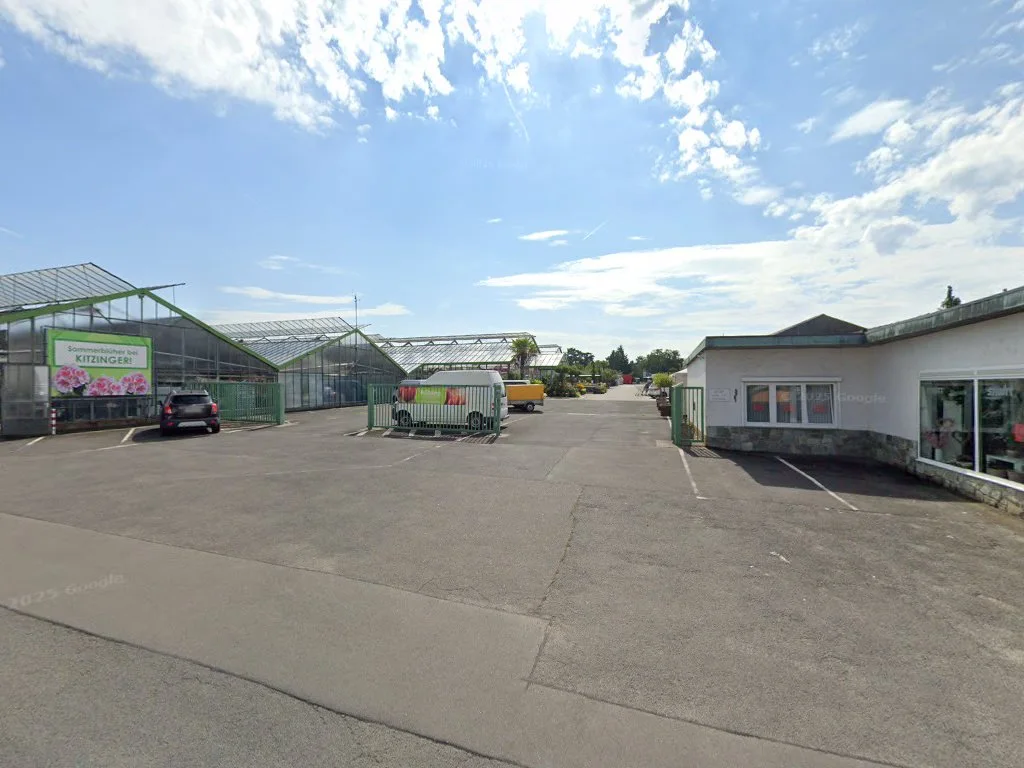 Kitzinger Blumen und Pflanzen – Street View & 360°-Fotos in Rodenbach, Hessen