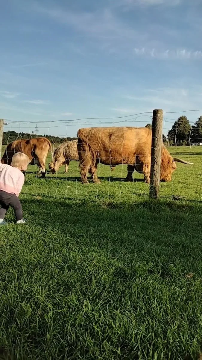 Der Sonnenhof - 1.Platz Baden-Württemberg! – Spielplatz in Stuttgart, Baden-Württemberg
