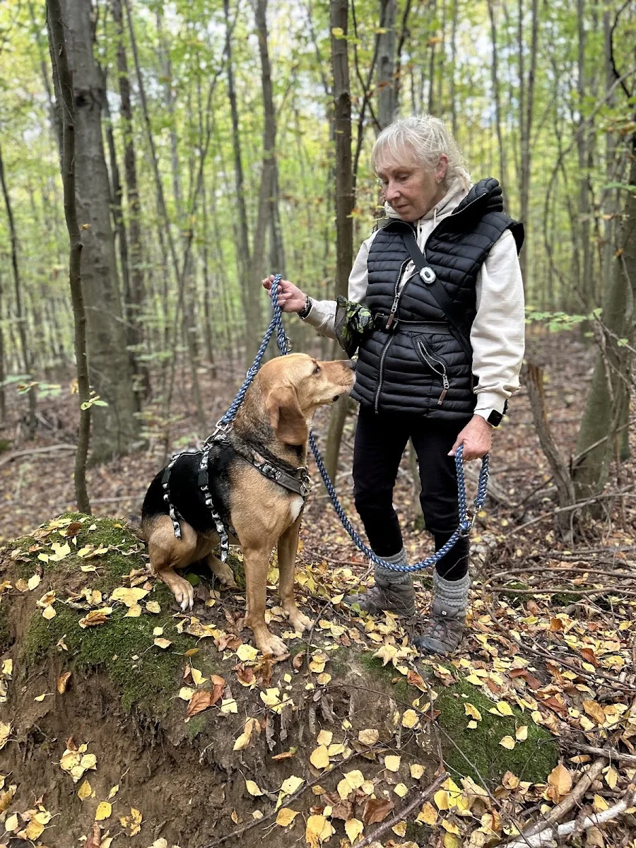 Tierschutzverein Ludwigsburg e. V. Tierheim "Franz von Assisi" – Besucherfoto von Isabelle Schäffner in Ludwigsburg, Baden-Württemberg