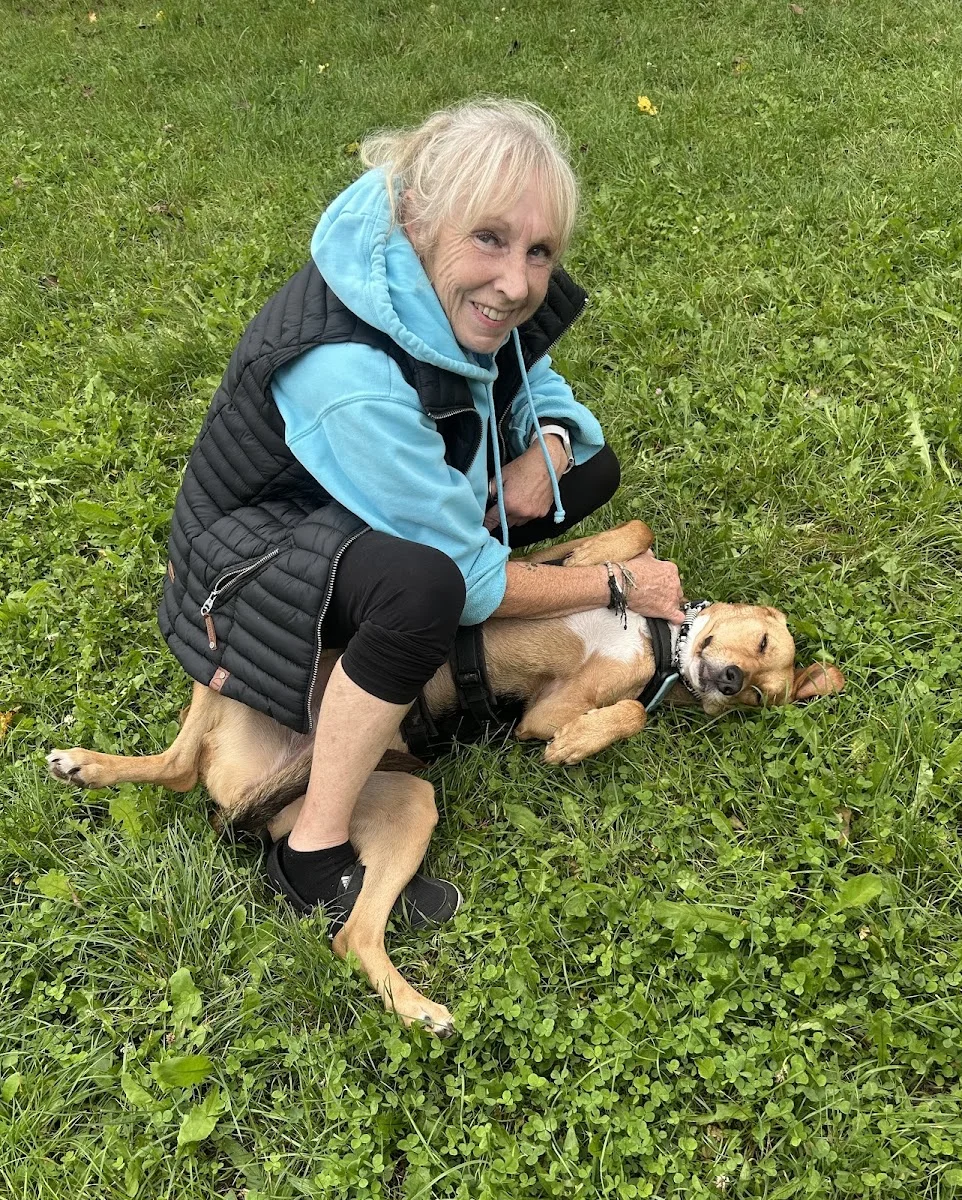 Tierschutzverein Ludwigsburg e. V. Tierheim "Franz von Assisi" – Besucherfoto von Isabelle Schäffner in Ludwigsburg, Baden-Württemberg