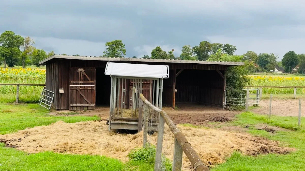 Hofladen Falkensee Hans-Peter Kruse – Landwirtschaftsbetrieb in Dallgow-Döberitz, Brandenburg