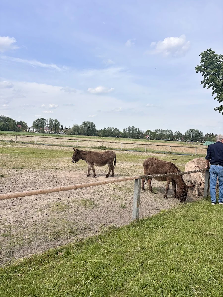 Hofladen Falkensee Hans-Peter Kruse – Besucherfoto von Na Chip in Dallgow-Döberitz, Brandenburg