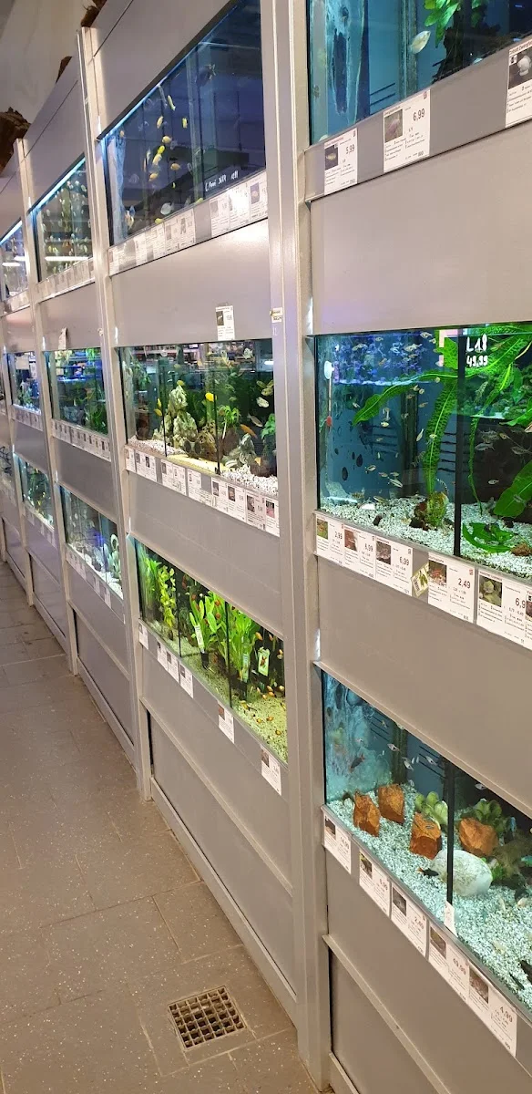 Zoo & Co Bonn – Aquarium in Bonn, Nordrhein-Westfalen
