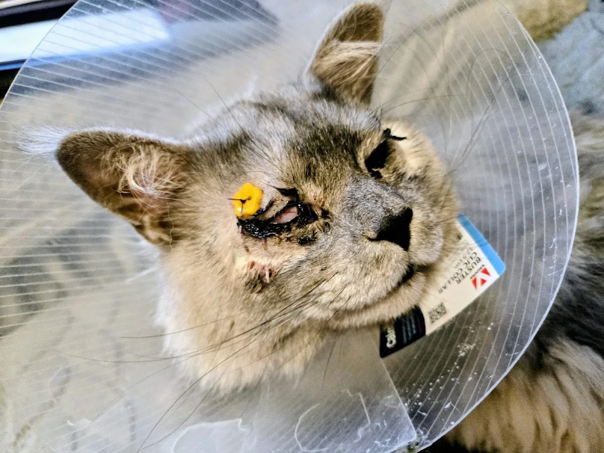 Dr. Stief | Tagesklinik für Tiere Part GmbB – Besucherfoto von Petra Blochel in Mühlhausen, Thüringen