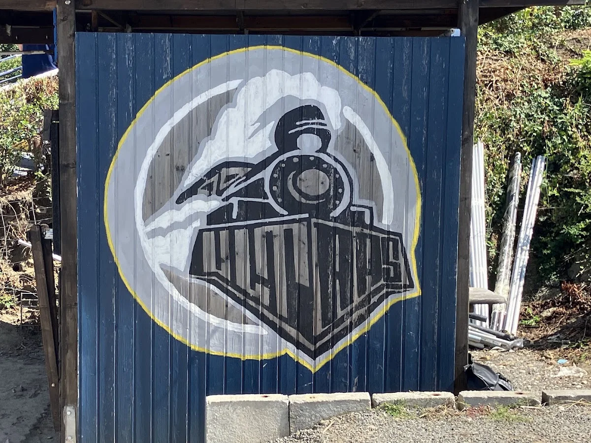 1. FC Lokomotive Leipzig – Besucherfoto: Alex Schätz in Leipzig, Sachsen