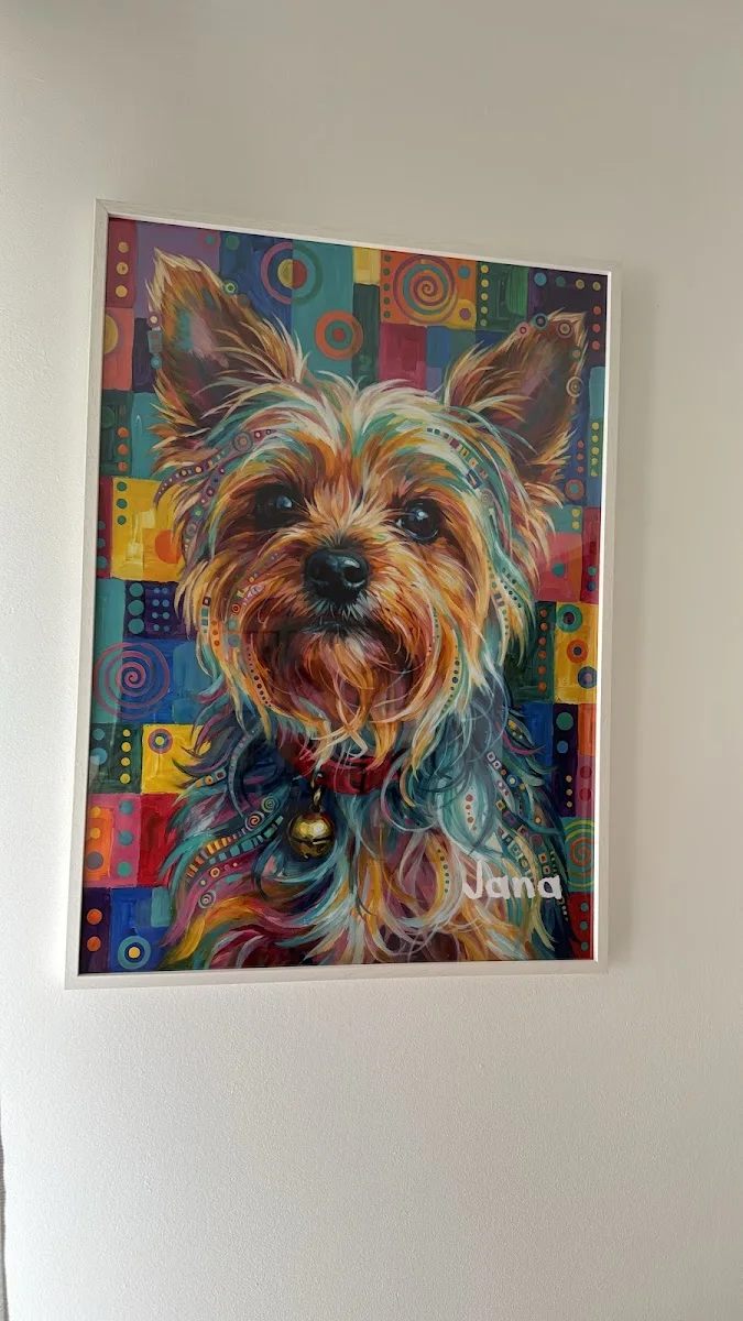 hey balu – Kunst in Düsseldorf, Nordrhein-Westfalen
