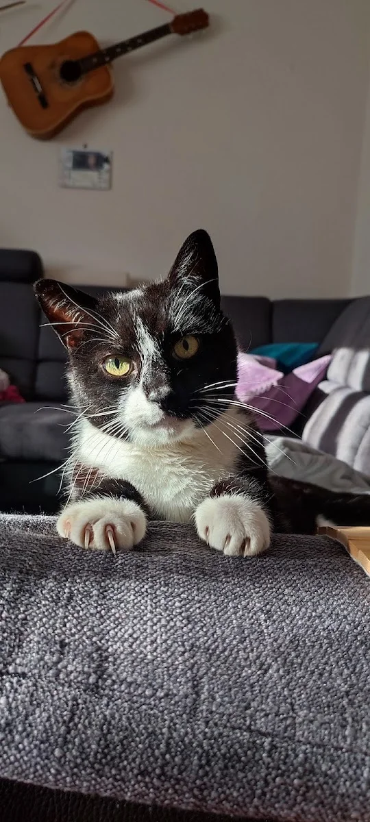hey balu – Besucherfoto: Karolina j in Düsseldorf, Nordrhein-Westfalen