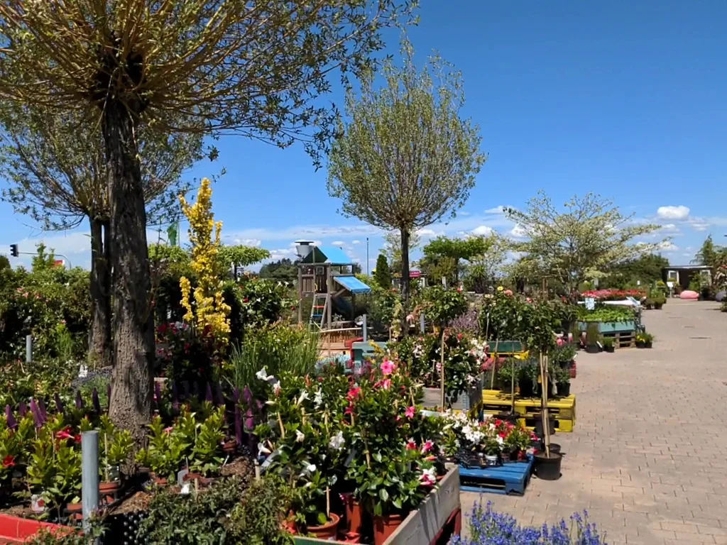 Häussermann Stauden + Gehölze GmbH – Garten in Möglingen, Baden-Württemberg