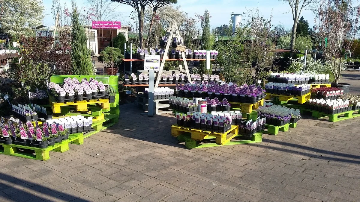 Häussermann Stauden + Gehölze GmbH – Vom Inhaber in Möglingen, Baden-Württemberg