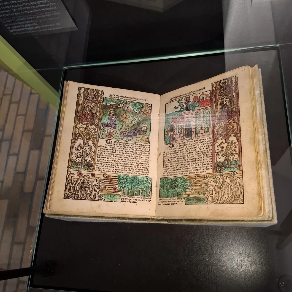 Brandenburg Museum für Zukunft, Gegenwart und Geschichte – Besucherfoto: Alwin in Potsdam, Brandenburg