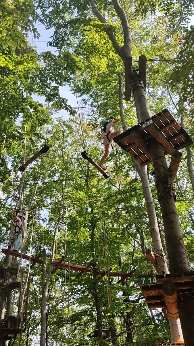 AbenteuerPark Potsdam Kletterwald – Café in Potsdam, Brandenburg